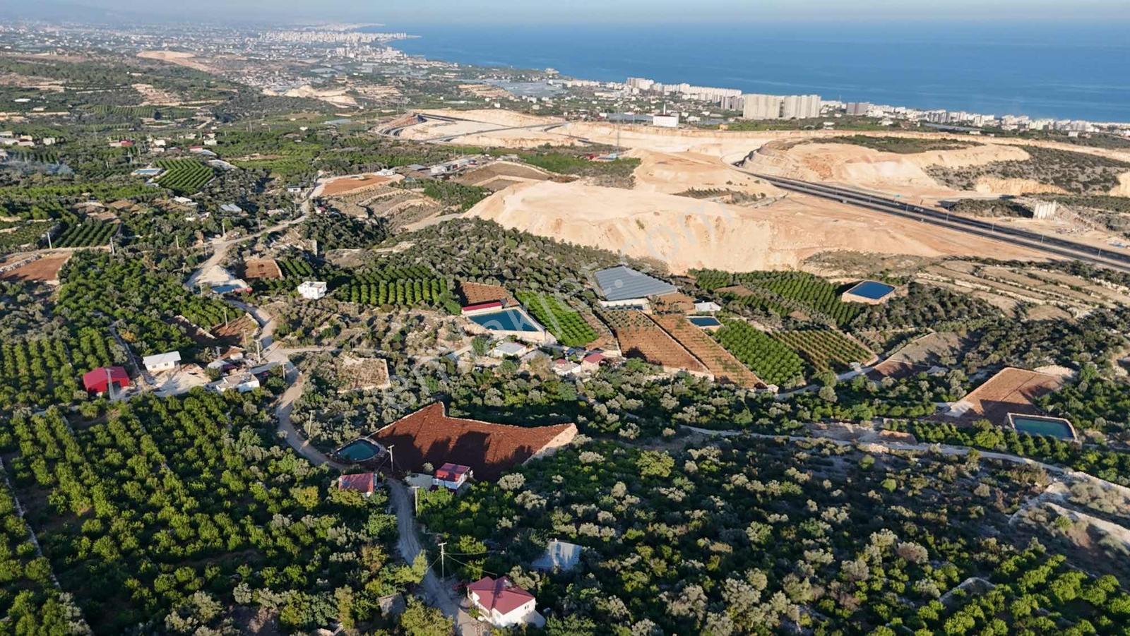 |ctn| Tırtar Ful Dnz Manz. 2400m2 İmar Sınırında Limon Bahçesi — fotoğraf 5
