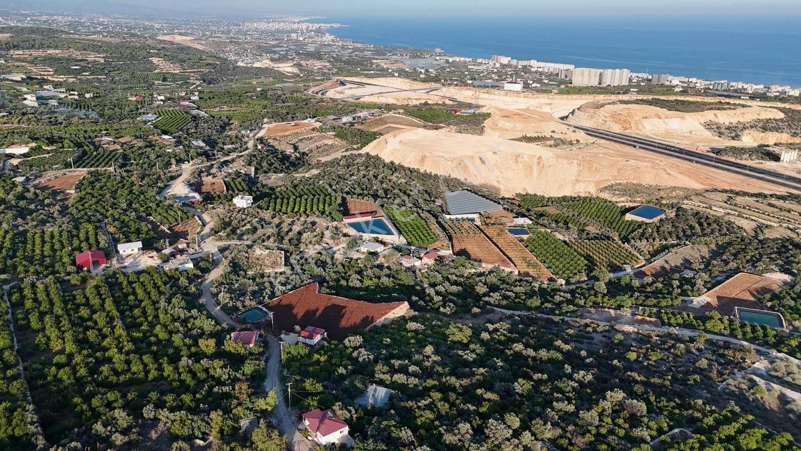 |ctn| Tırtar Ful Dnz Manz. 2400m2 İmar Sınırında Limon Bahçesi — fotoğraf 6