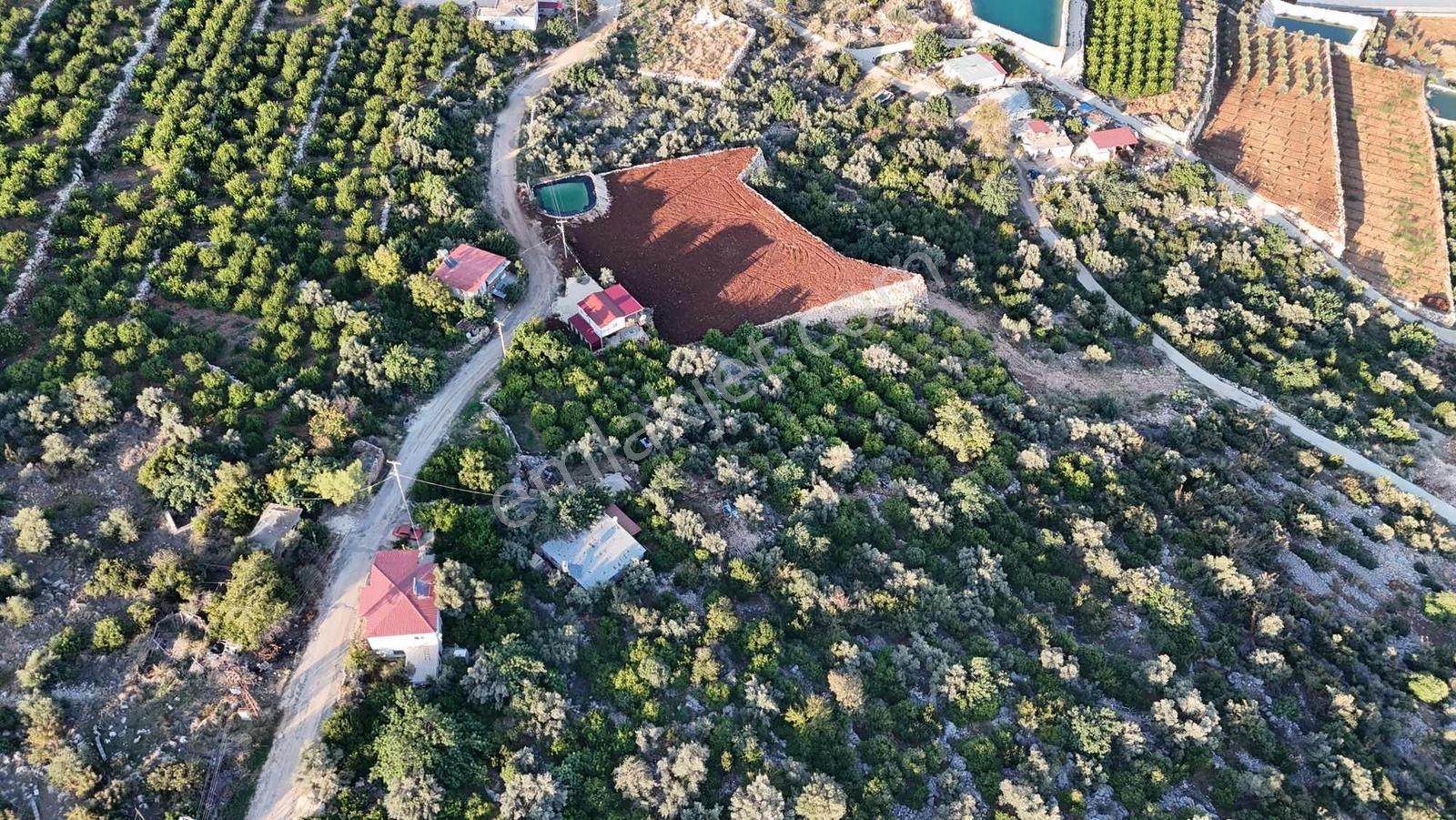 |ctn| Tırtar Ful Dnz Manz. 2400m2 İmar Sınırında Limon Bahçesi — fotoğraf 7