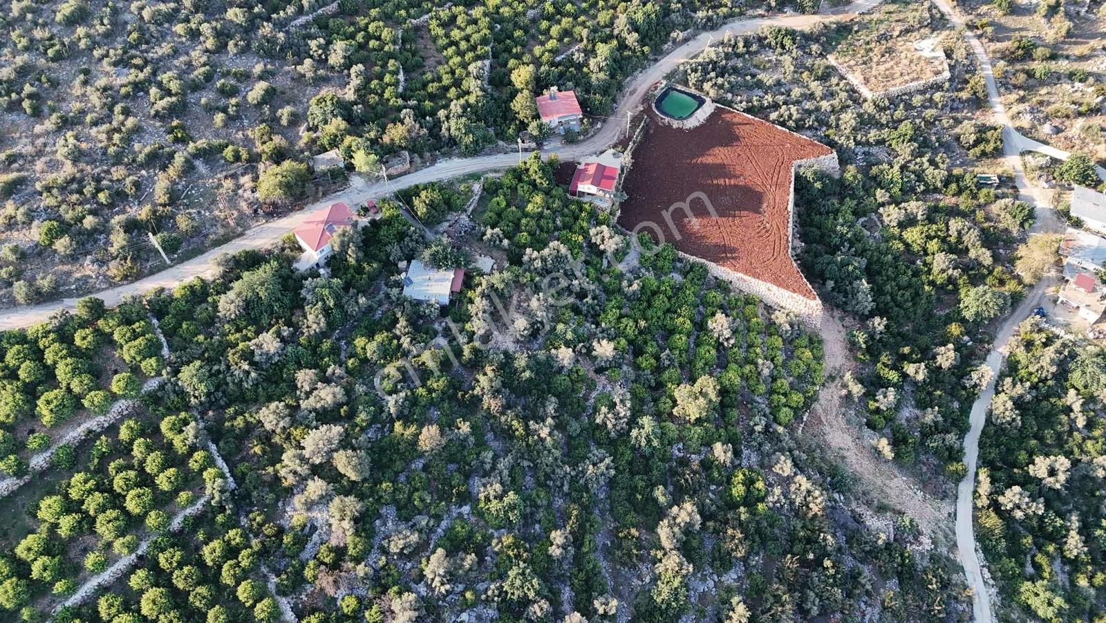 |ctn| Tırtar Ful Dnz Manz. 2400m2 İmar Sınırında Limon Bahçesi — fotoğraf 8