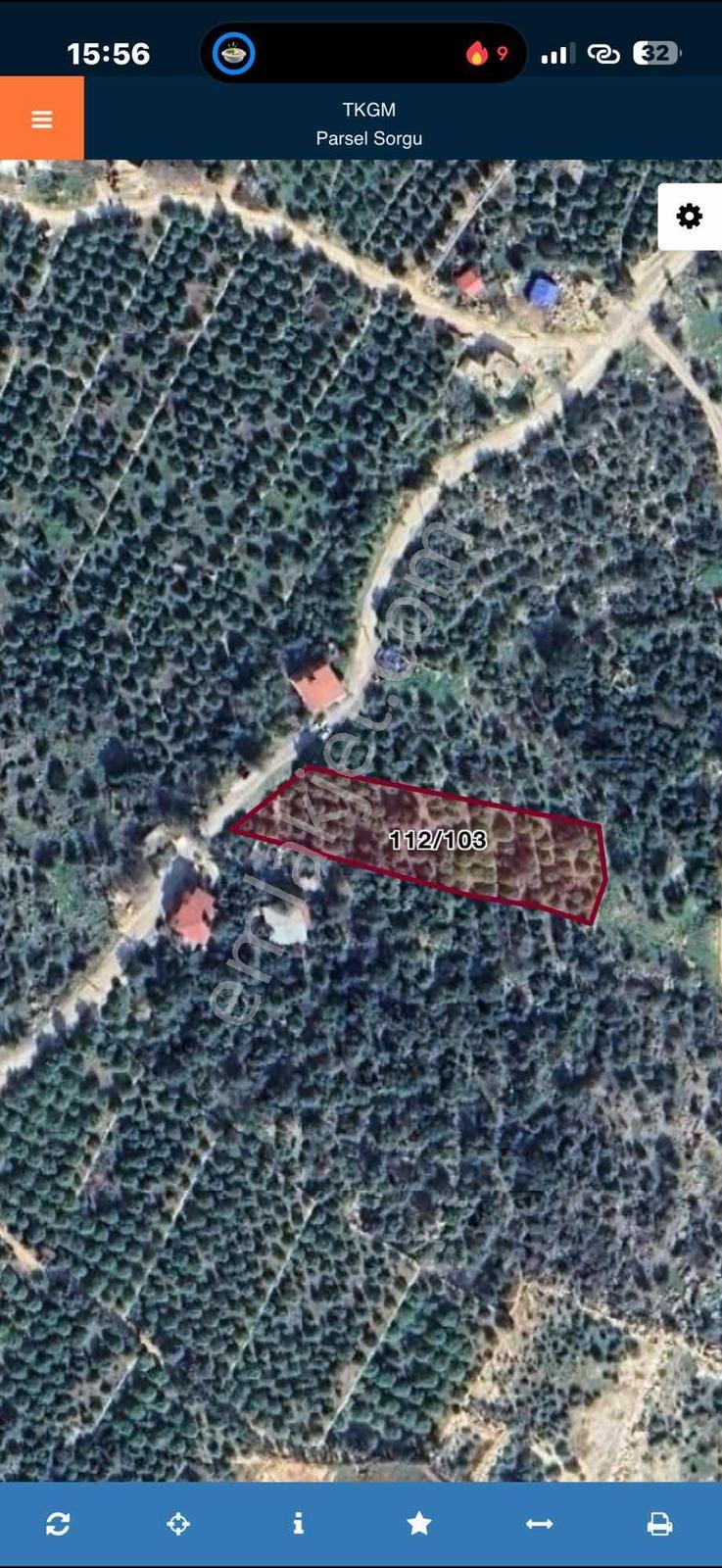 |ctn| Tırtar Ful Dnz Manz. 2400m2 İmar Sınırında Limon Bahçesi — fotoğraf 10