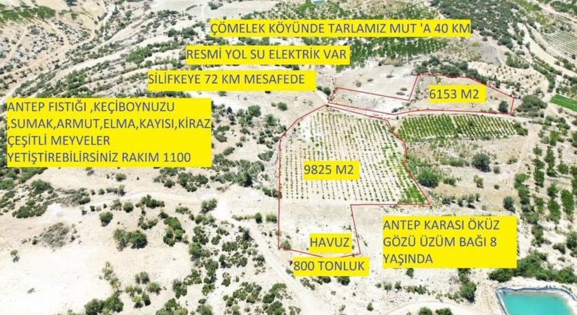 Mut Çömelek Köyü Satılık 16 Dönüm 2 Ayrı Parsel Üzüm Bağı Ve Tarla — fotoğraf 2