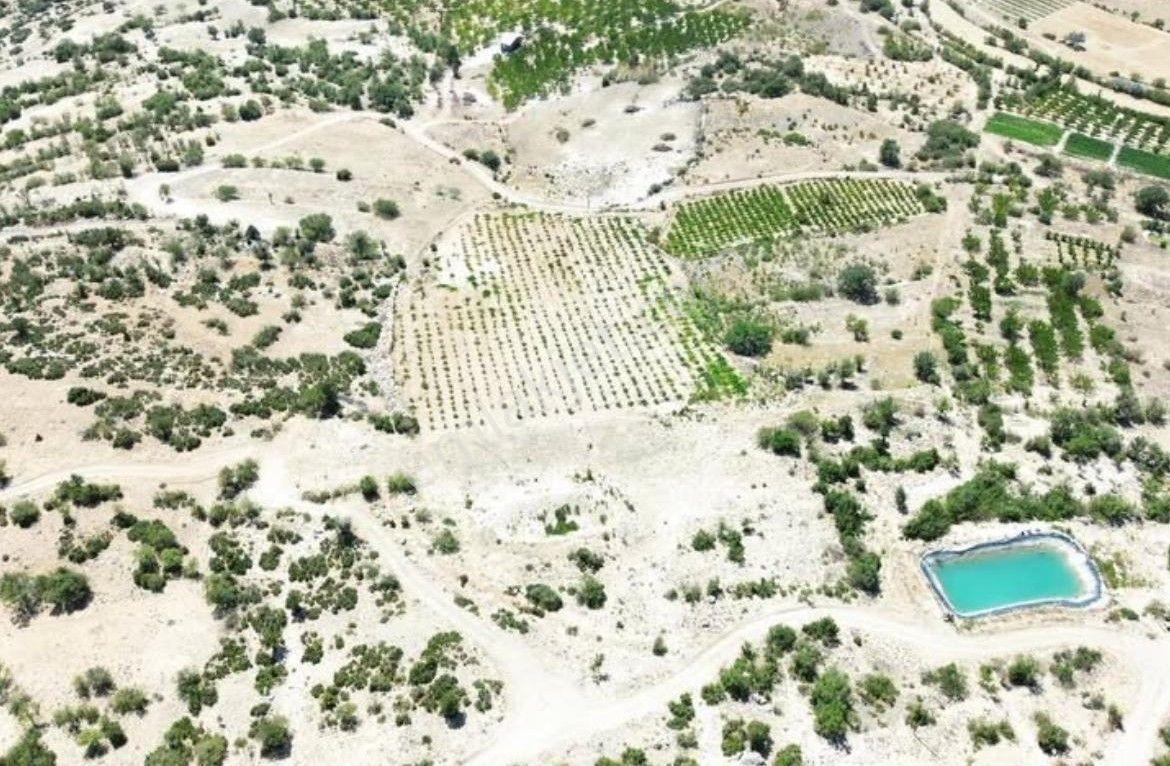 Mut Çömelek Köyü Satılık 16 Dönüm 2 Ayrı Parsel Üzüm Bağı Ve Tarla — fotoğraf 4