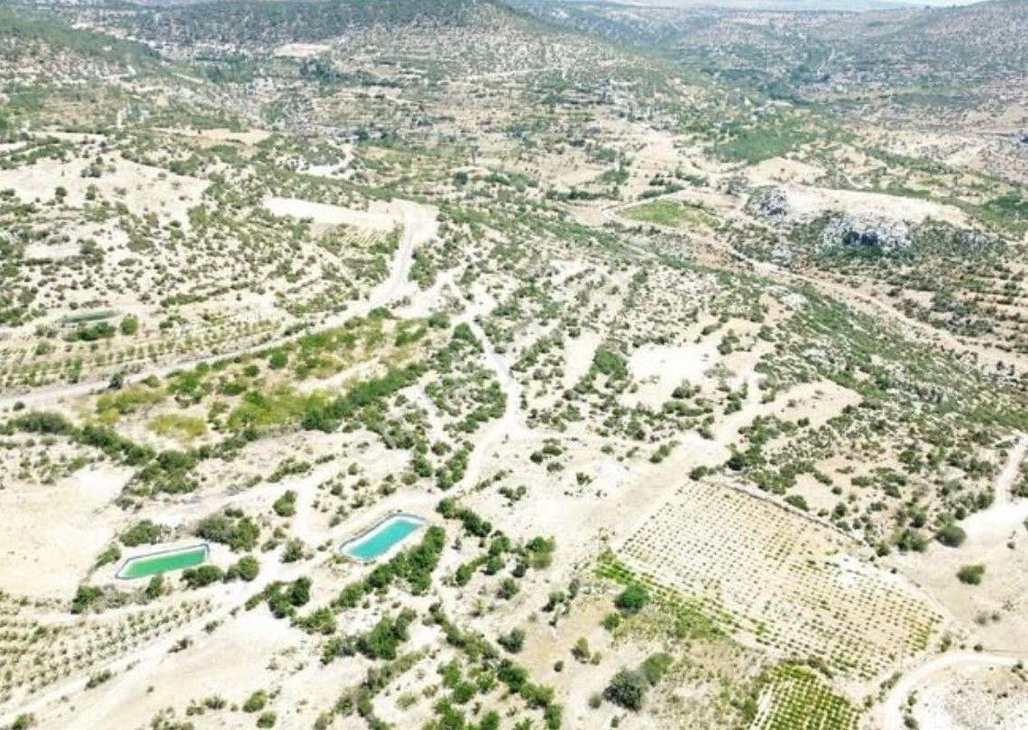 Mut Çömelek Köyü Satılık 16 Dönüm 2 Ayrı Parsel Üzüm Bağı Ve Tarla — fotoğraf 6