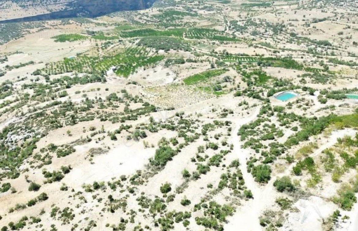 Mut Çömelek Köyü Satılık 16 Dönüm 2 Ayrı Parsel Üzüm Bağı Ve Tarla — fotoğraf 7