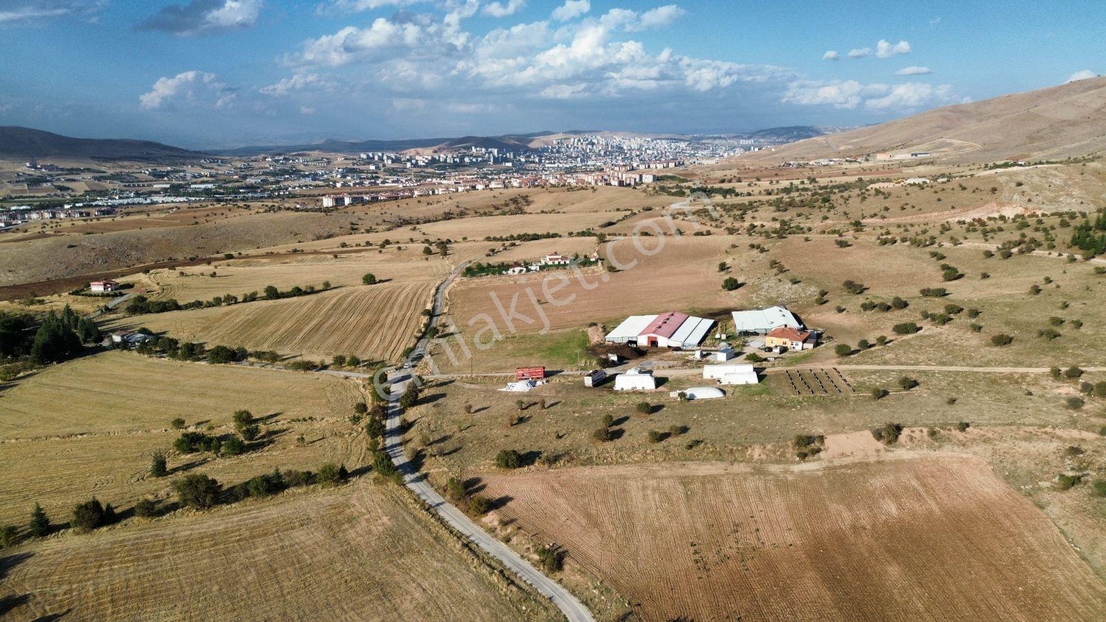 Aşağı Holpenkte İmar Sınırında Satılık 3800 M²