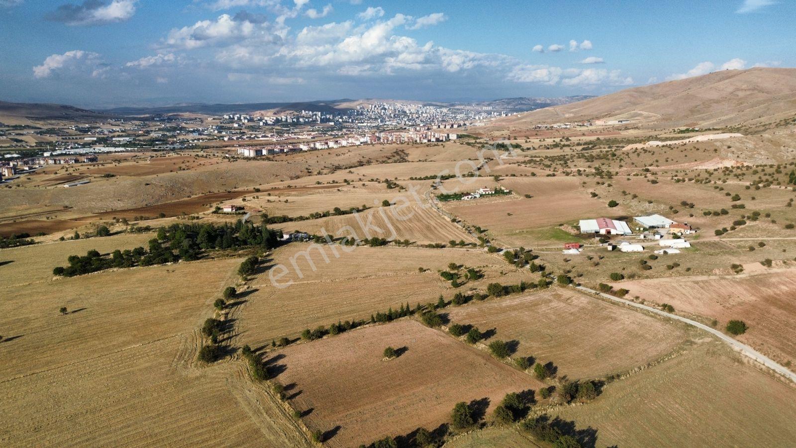 Aşağı Holpenkte İmar Sınırında Satılık 3800 M² — fotoğraf 4