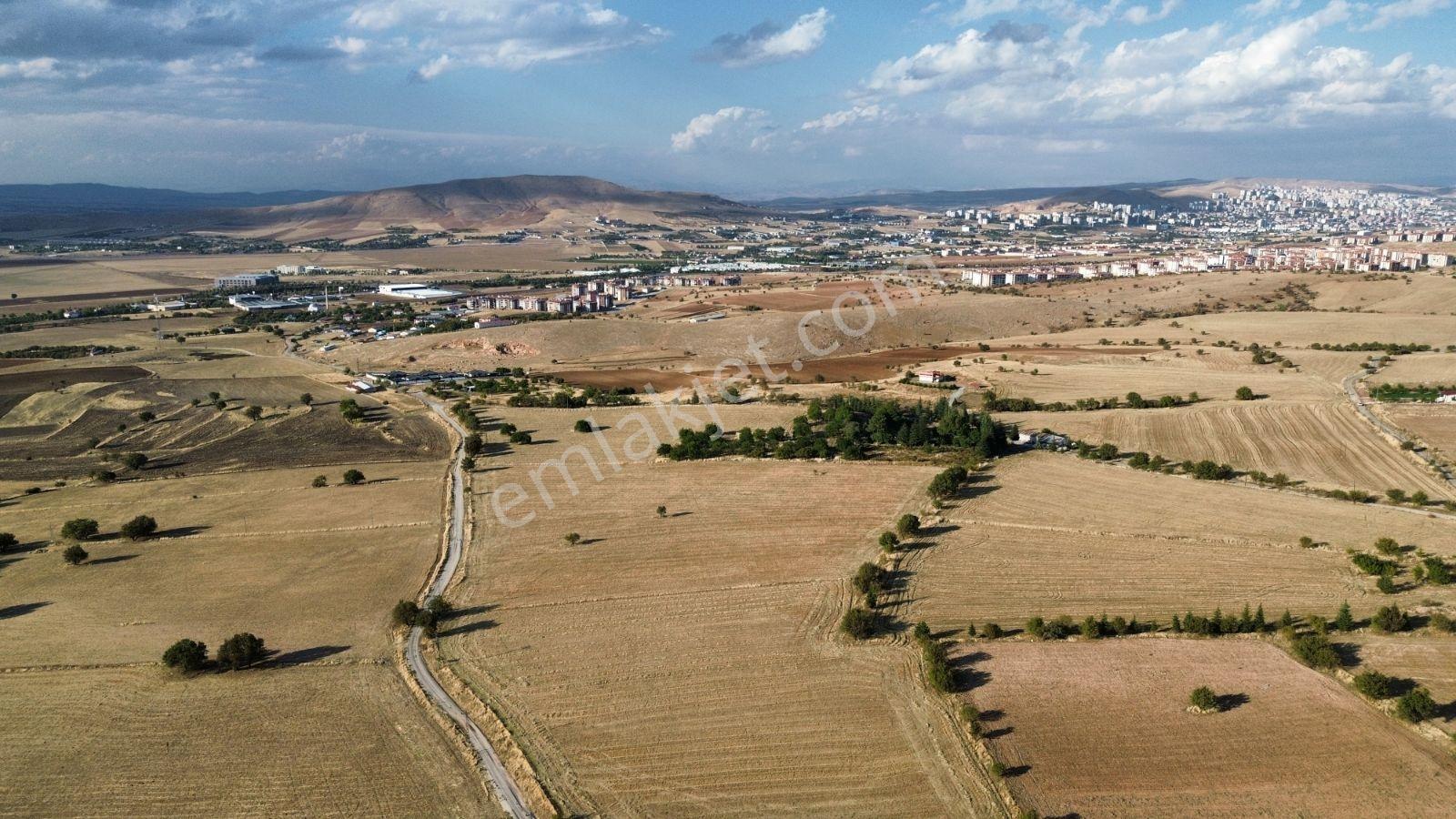 Aşağı Holpenkte İmar Sınırında Satılık 3800 M² — fotoğraf 5