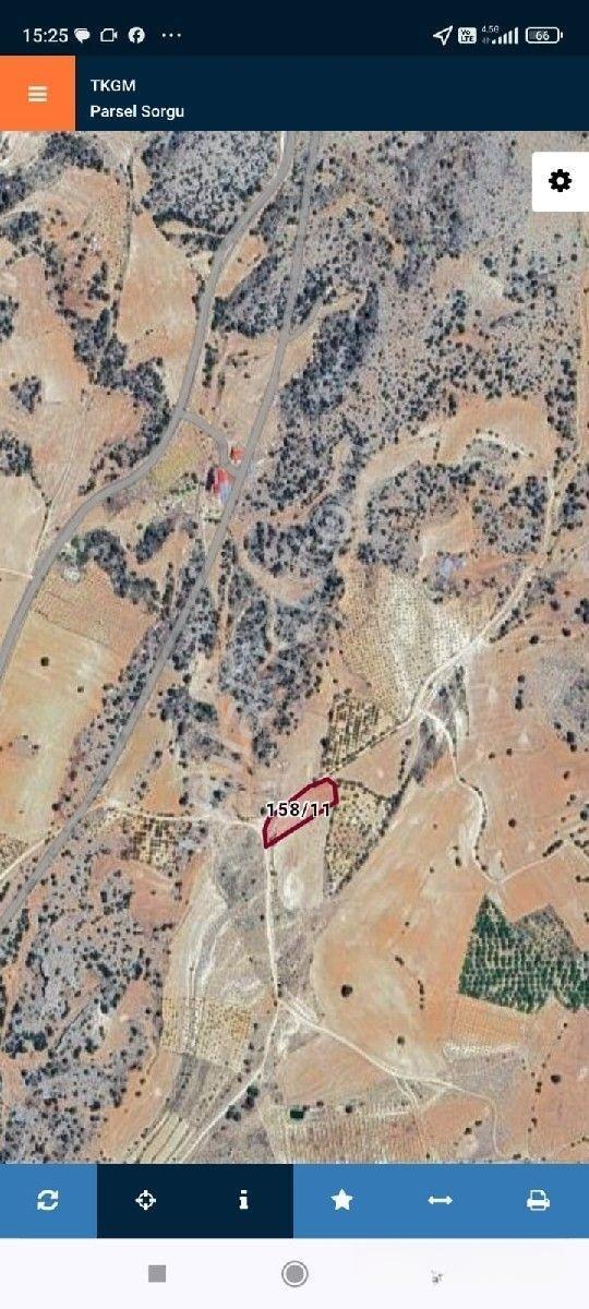 Yatırımlık Tarla Yolu Mevcuttur — fotoğraf 4