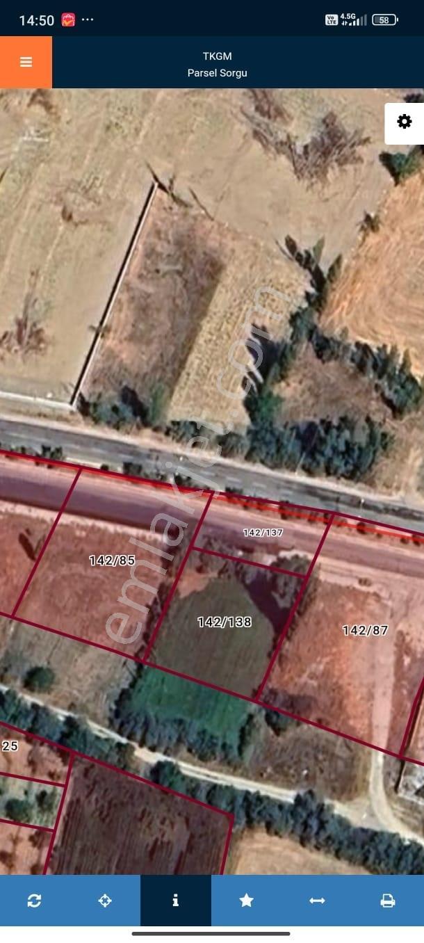 Sinanpaşa Akpınar'da Satılık 763 M² Vişne Bahçesi — fotoğraf 3