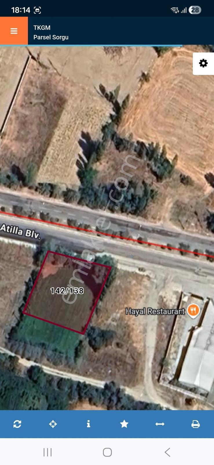 Sinanpaşa Akpınar'da Satılık 763 M² Vişne Bahçesi — fotoğraf 4