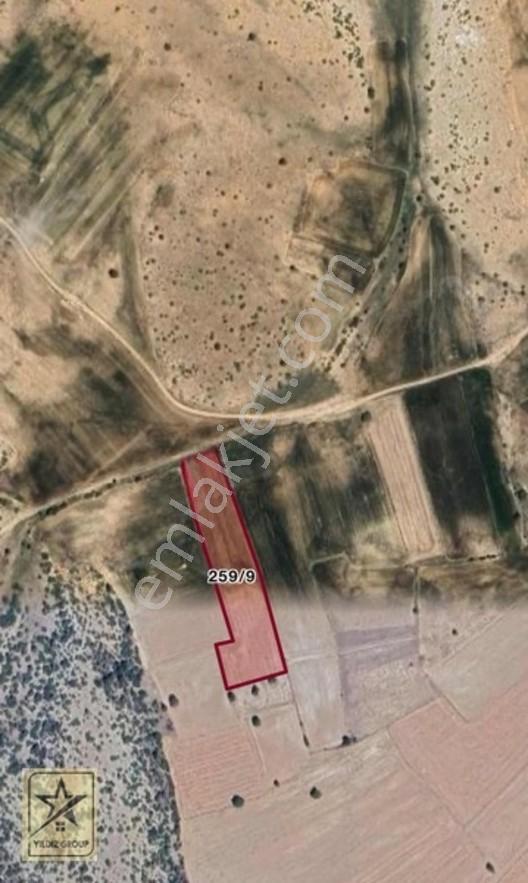 Altıntaş'da Zafer Osb'ye&toki Proje Alanı Yanında Satılık Arazi — fotoğraf 5