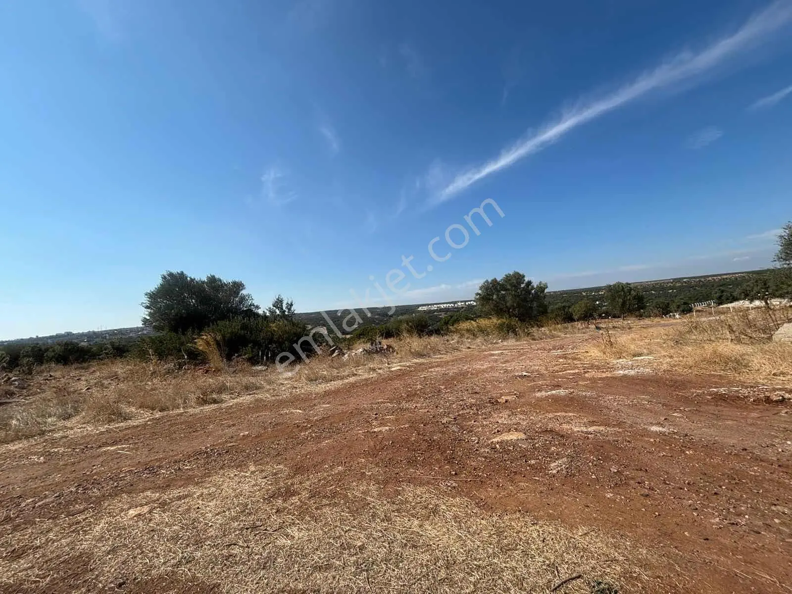 5.000 M2 Satılık Zeytinlik — fotoğraf 3