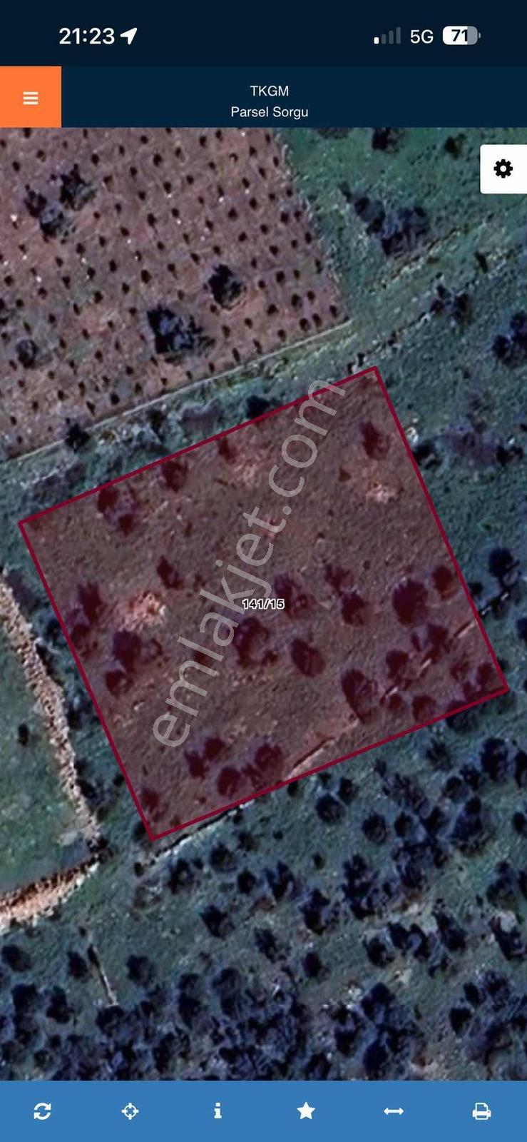 5.000 M2 Satılık Zeytinlik — fotoğraf 10