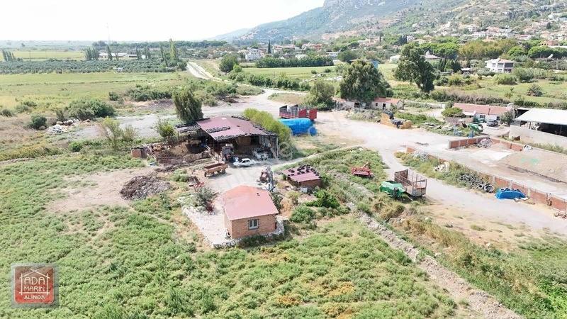 Sökede 9.500 M² Ruhsatlı Hayvan Çiftliği Ve Müstakil Ev