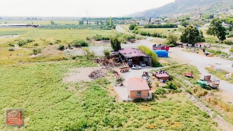 Sökede 9.500 M² Ruhsatlı Hayvan Çiftliği Ve Müstakil Ev — fotoğraf 2