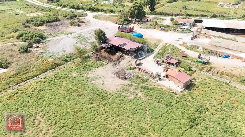 Sökede 9.500 M² Ruhsatlı Hayvan Çiftliği Ve Müstakil Ev — fotoğraf 3