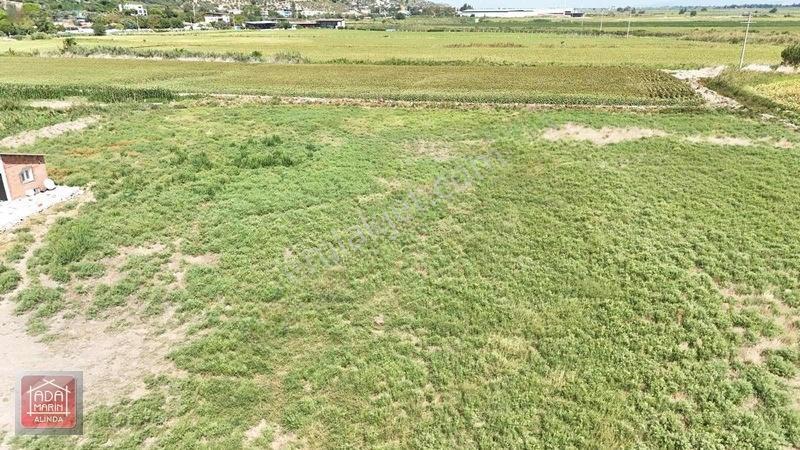 Sökede 9.500 M² Ruhsatlı Hayvan Çiftliği Ve Müstakil Ev — fotoğraf 4