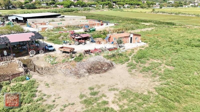 Sökede 9.500 M² Ruhsatlı Hayvan Çiftliği Ve Müstakil Ev — fotoğraf 5