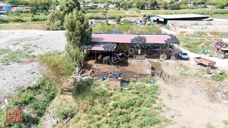 Sökede 9.500 M² Ruhsatlı Hayvan Çiftliği Ve Müstakil Ev — fotoğraf 6