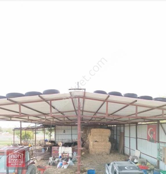 Sökede 9.500 M² Ruhsatlı Hayvan Çiftliği Ve Müstakil Ev — fotoğraf 7