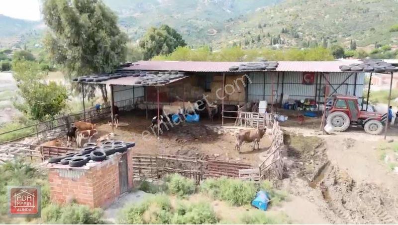 Sökede 9.500 M² Ruhsatlı Hayvan Çiftliği Ve Müstakil Ev — fotoğraf 8