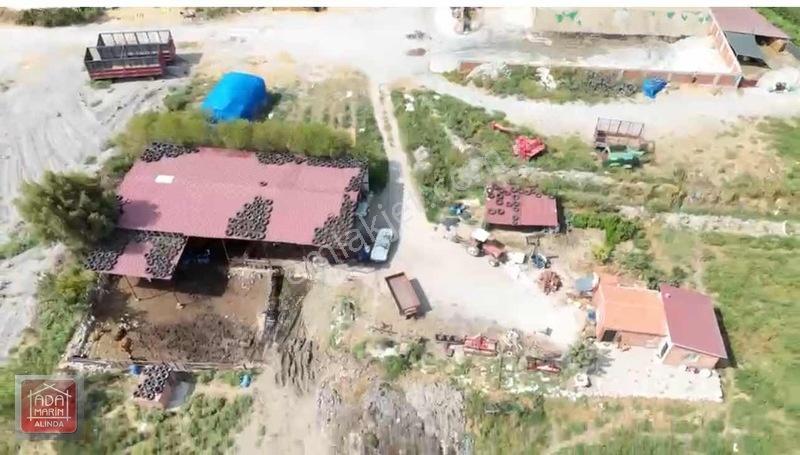 Sökede 9.500 M² Ruhsatlı Hayvan Çiftliği Ve Müstakil Ev — fotoğraf 9