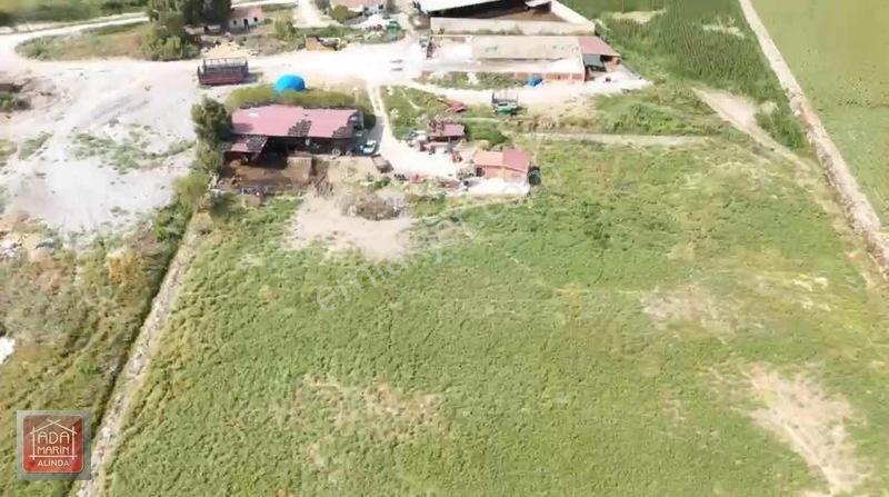 Sökede 9.500 M² Ruhsatlı Hayvan Çiftliği Ve Müstakil Ev — fotoğraf 10