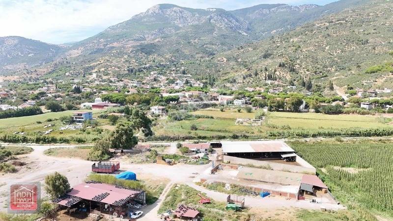 Sökede 9.500 M² Ruhsatlı Hayvan Çiftliği Ve Müstakil Ev — fotoğraf 12