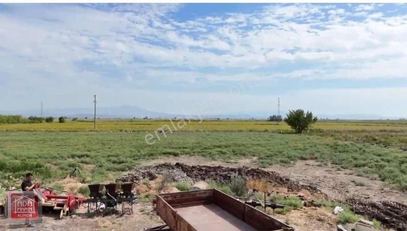 Sökede 9.500 M² Ruhsatlı Hayvan Çiftliği Ve Müstakil Ev — fotoğraf 15