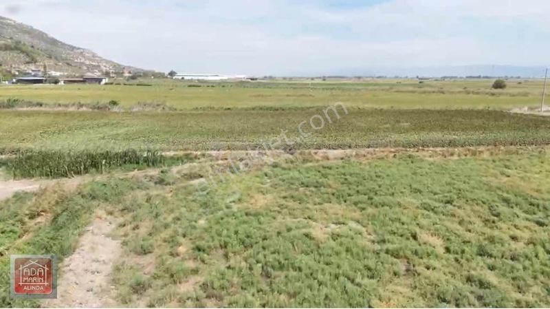 Sökede 9.500 M² Ruhsatlı Hayvan Çiftliği Ve Müstakil Ev — fotoğraf 16