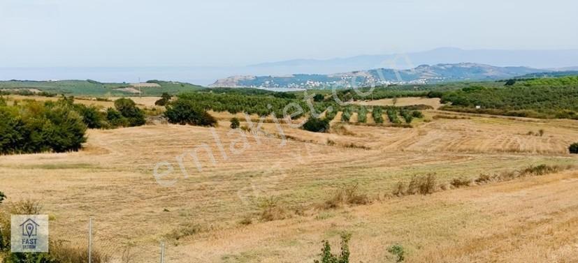 Fast Yatırımdan Ana Asfalta Cephe Yatırımlık Arazi Hissesi. — fotoğraf 2