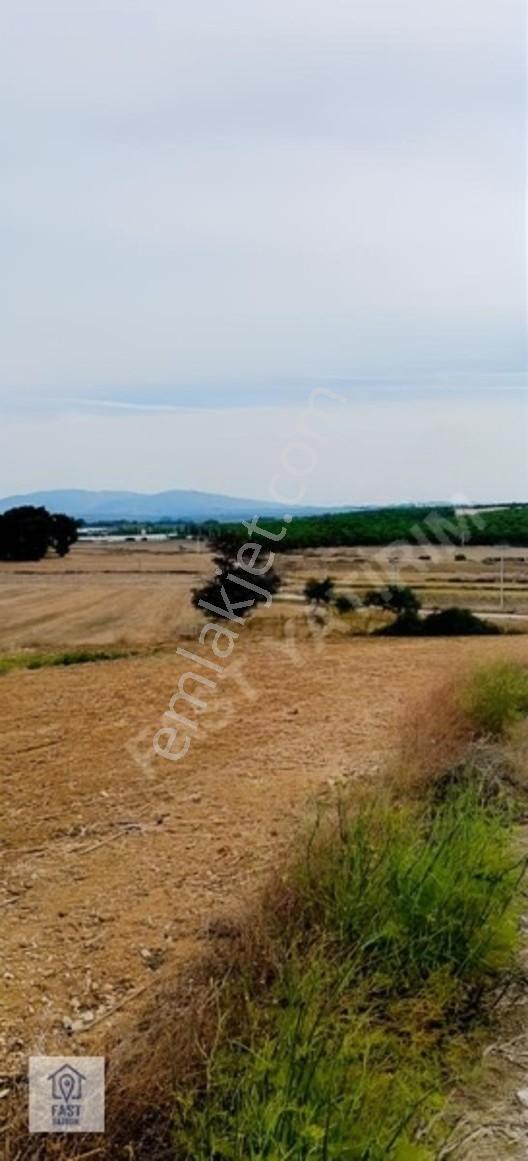 Fast Yatırımdan Ana Asfalta Cephe Yatırımlık Arazi Hissesi. — fotoğraf 19