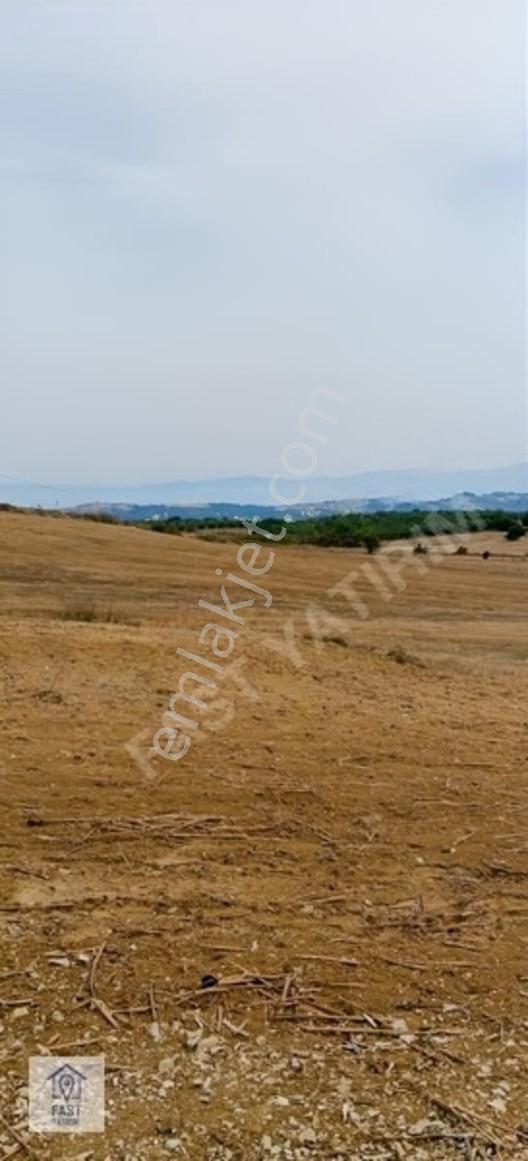 Fast Yatırımdan Ana Asfalta Cephe Yatırımlık Arazi Hissesi. — fotoğraf 20