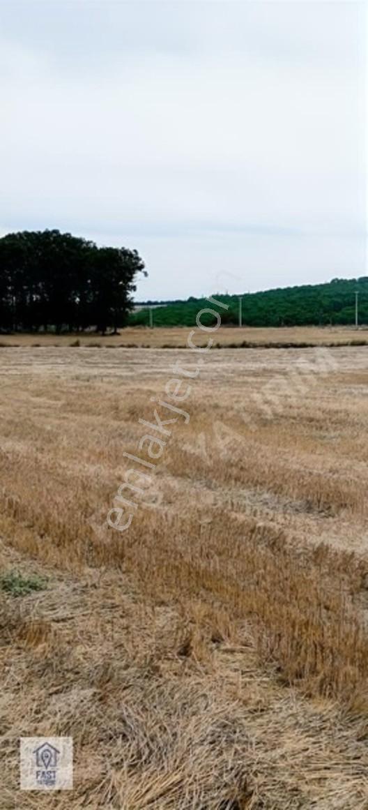 Fast Yatırımdan Ana Asfalta Cephe Yatırımlık Arazi Hissesi. — fotoğraf 25
