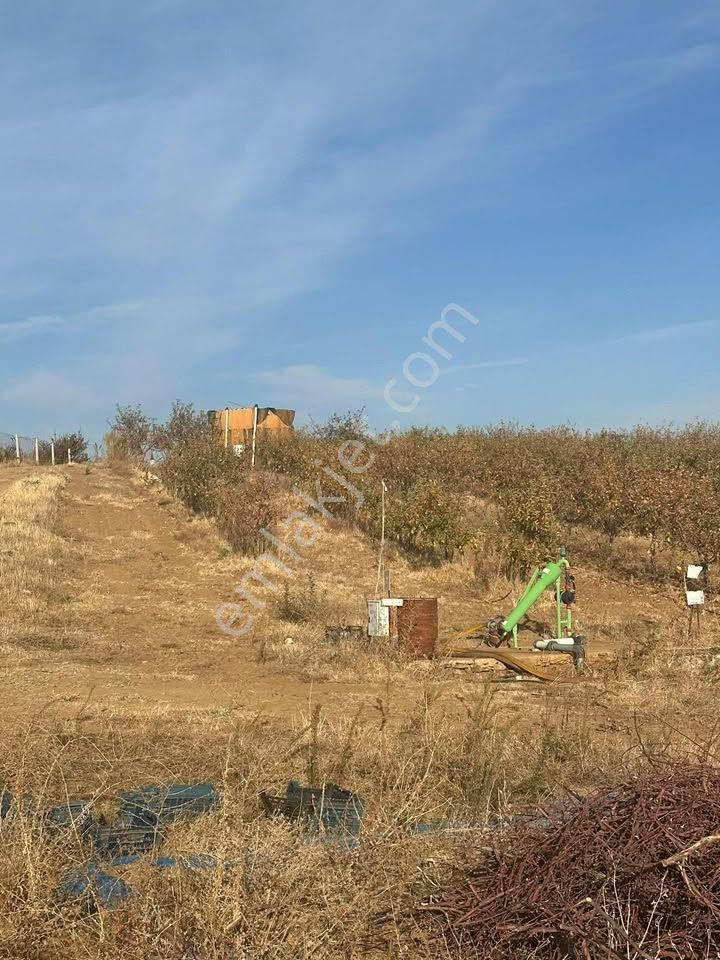 Tc Emlaktan Satılık Toplam 202 Dönüm — fotoğraf 6