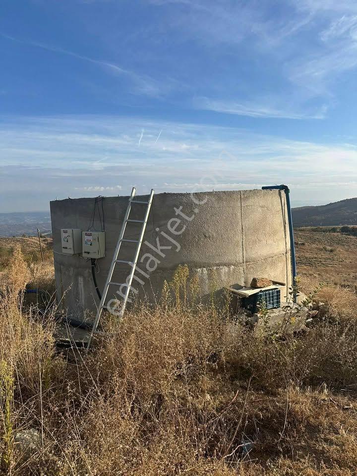 Tc Emlaktan Satılık Toplam 202 Dönüm — fotoğraf 11