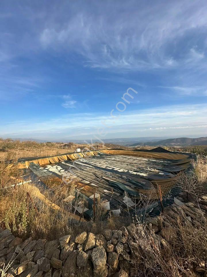 Tc Emlaktan Satılık Toplam 202 Dönüm — fotoğraf 20
