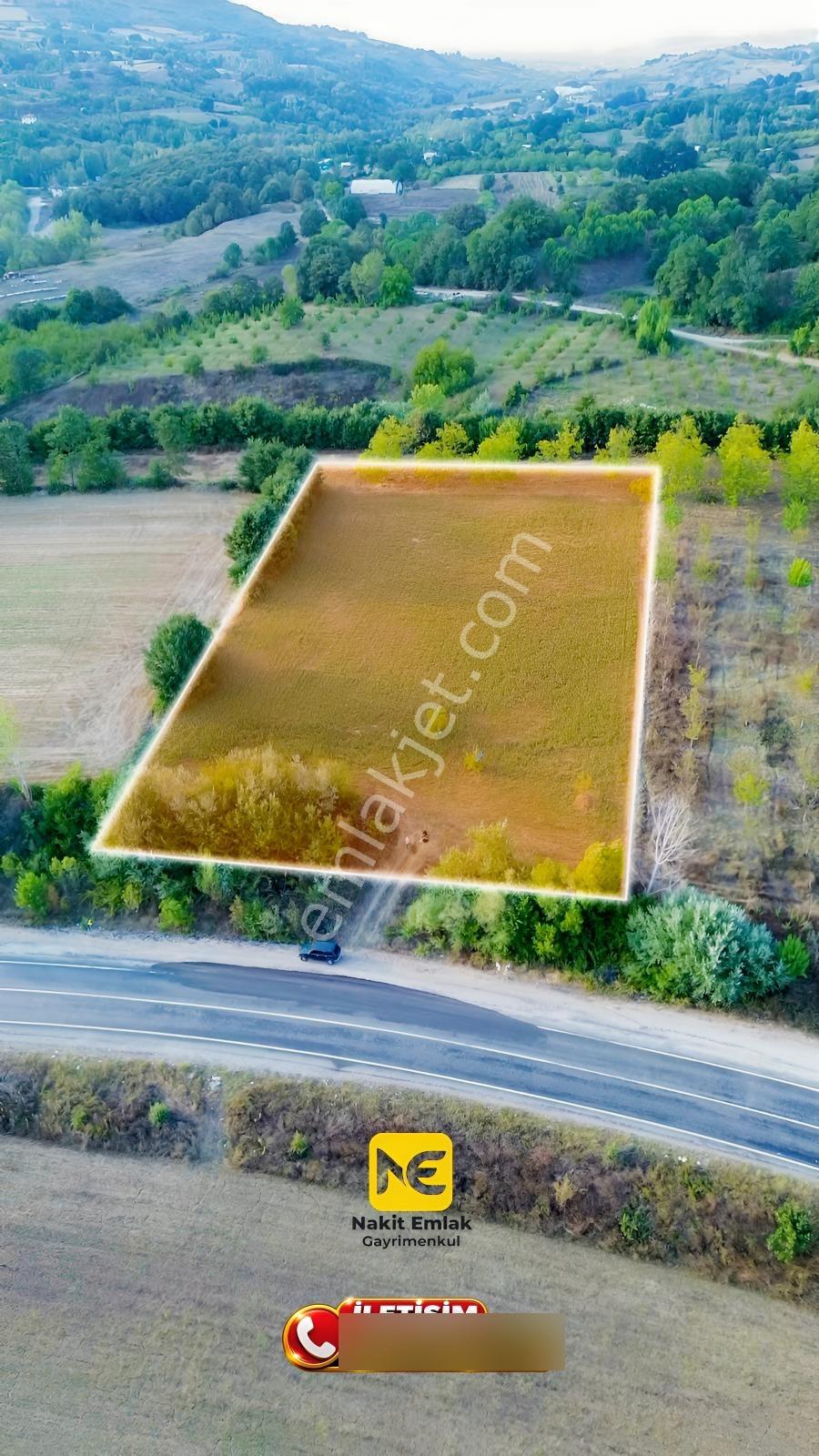 Bursa-kütahya Asfaltına Cepheli4800m2 Yatırımlık Arazi 60m Cephe — fotoğraf 4