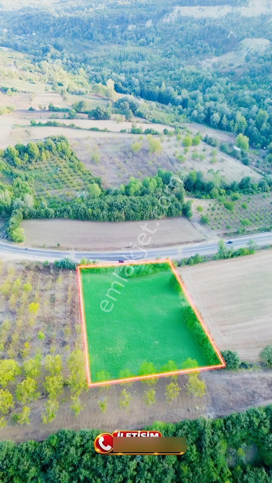 Bursa-kütahya Asfaltına Cepheli4800m2 Yatırımlık Arazi 60m Cephe — fotoğraf 5
