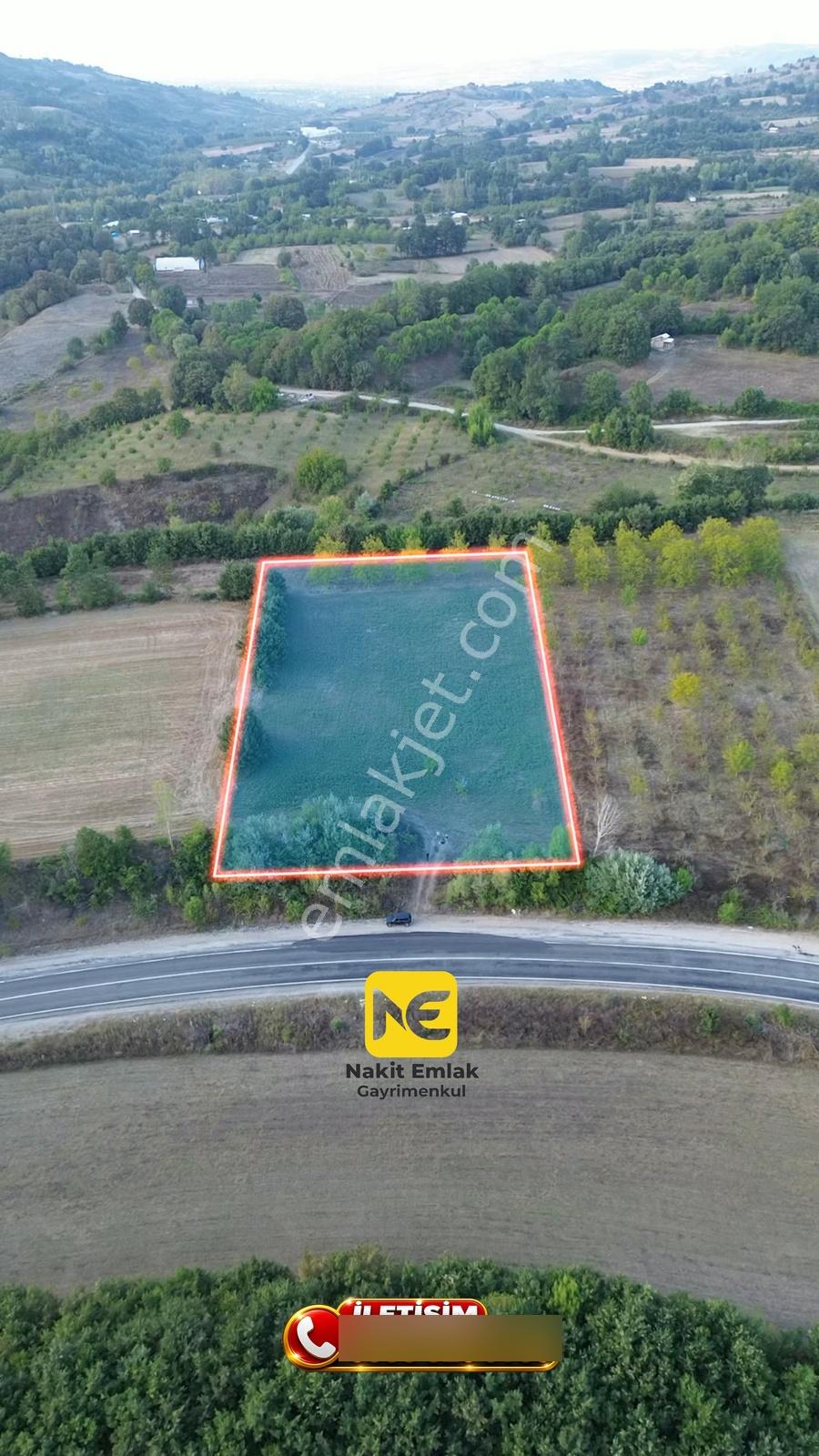 Bursa-kütahya Asfaltına Cepheli4800m2 Yatırımlık Arazi 60m Cephe — fotoğraf 6