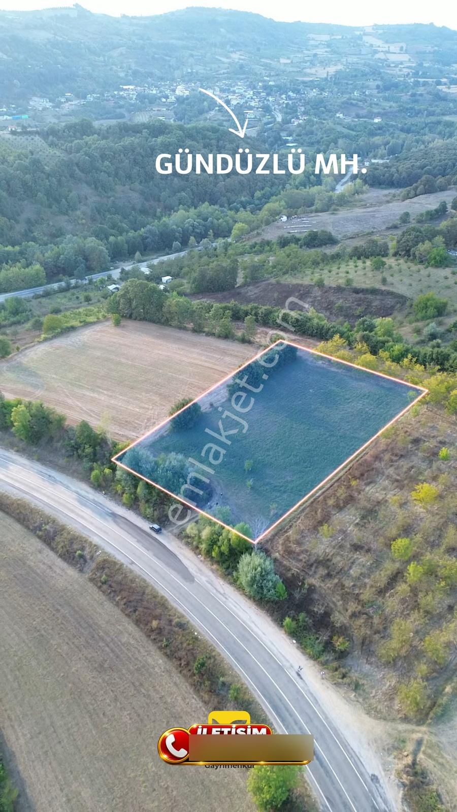 Bursa-kütahya Asfaltına Cepheli4800m2 Yatırımlık Arazi 60m Cephe — fotoğraf 7