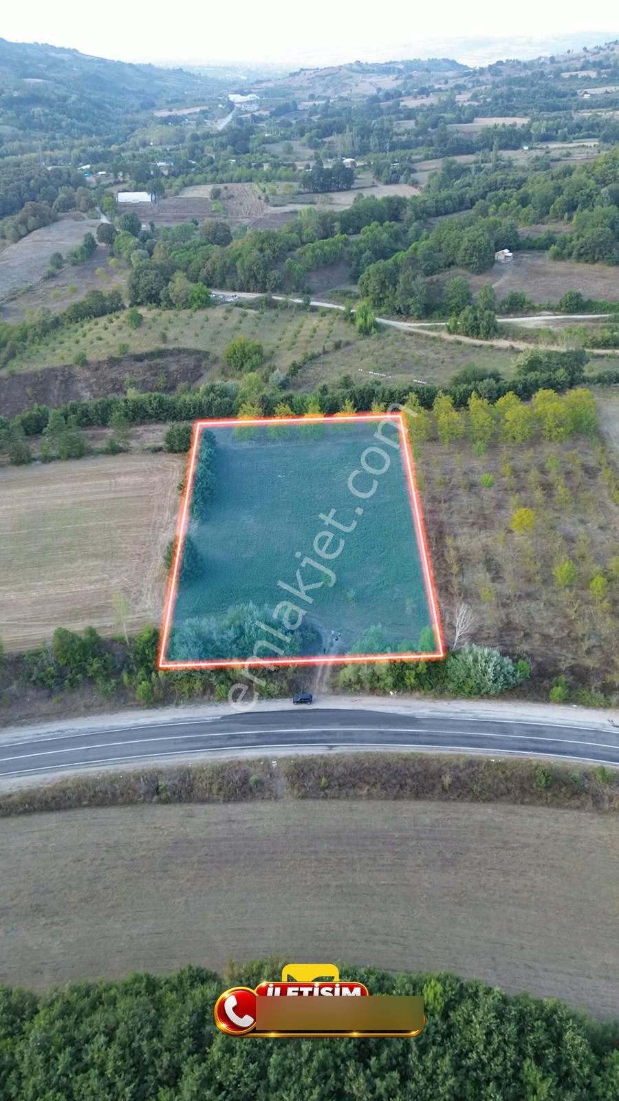 Bursa-kütahya Asfaltına Cepheli4800m2 Yatırımlık Arazi 60m Cephe — fotoğraf 11
