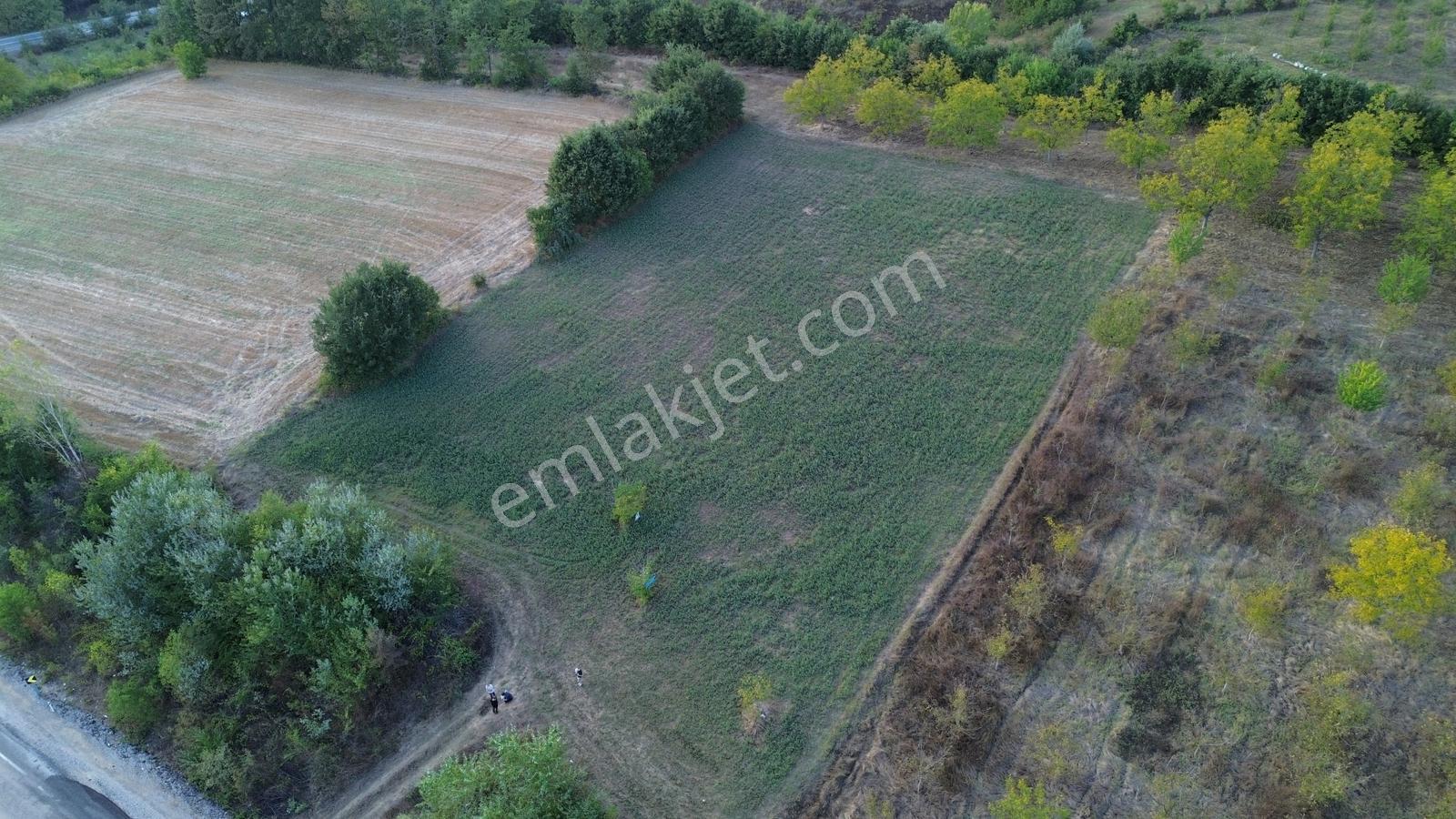 Bursa-kütahya Asfaltına Cepheli4800m2 Yatırımlık Arazi 60m Cephe — fotoğraf 12