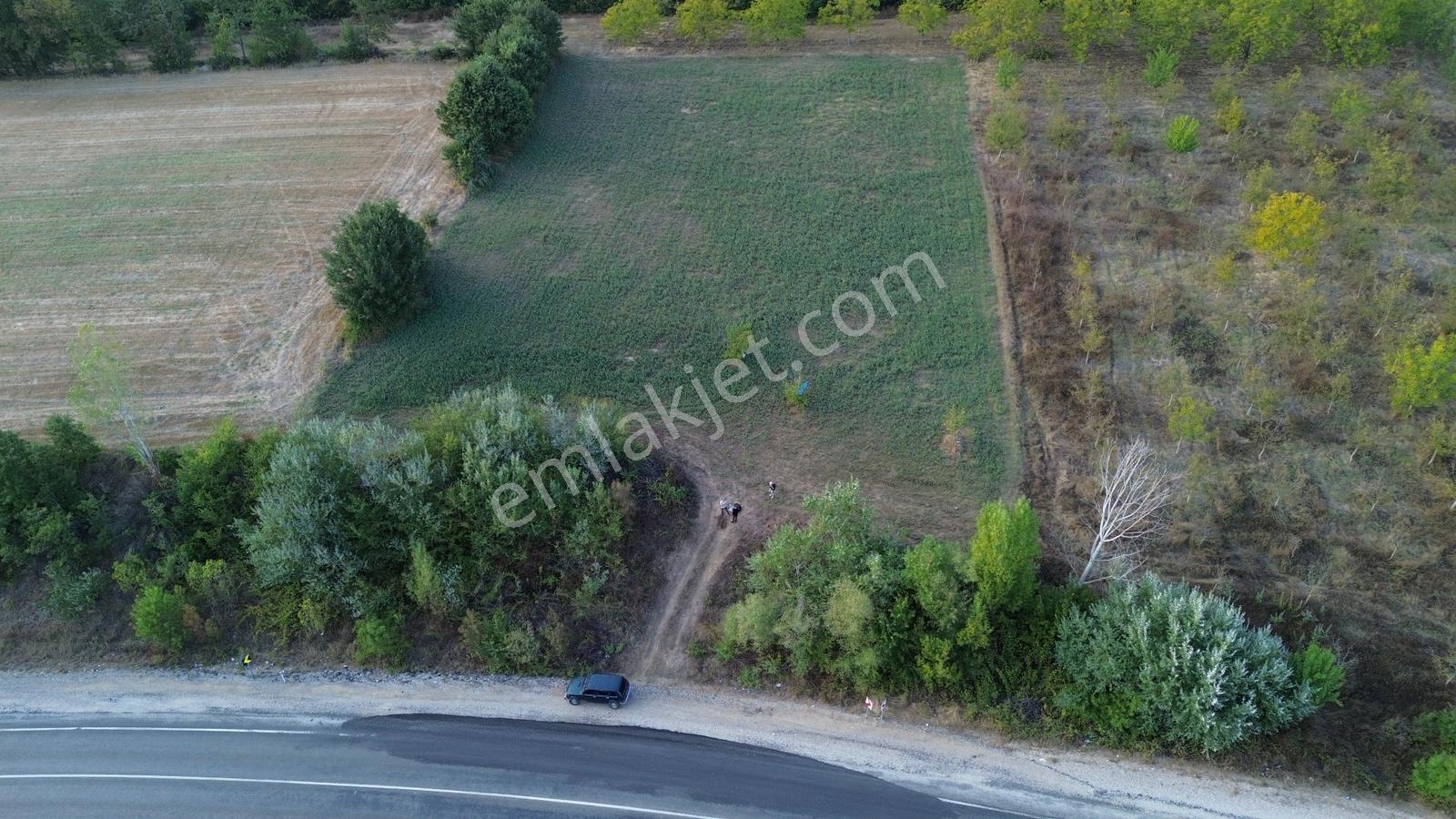 Bursa-kütahya Asfaltına Cepheli4800m2 Yatırımlık Arazi 60m Cephe — fotoğraf 13