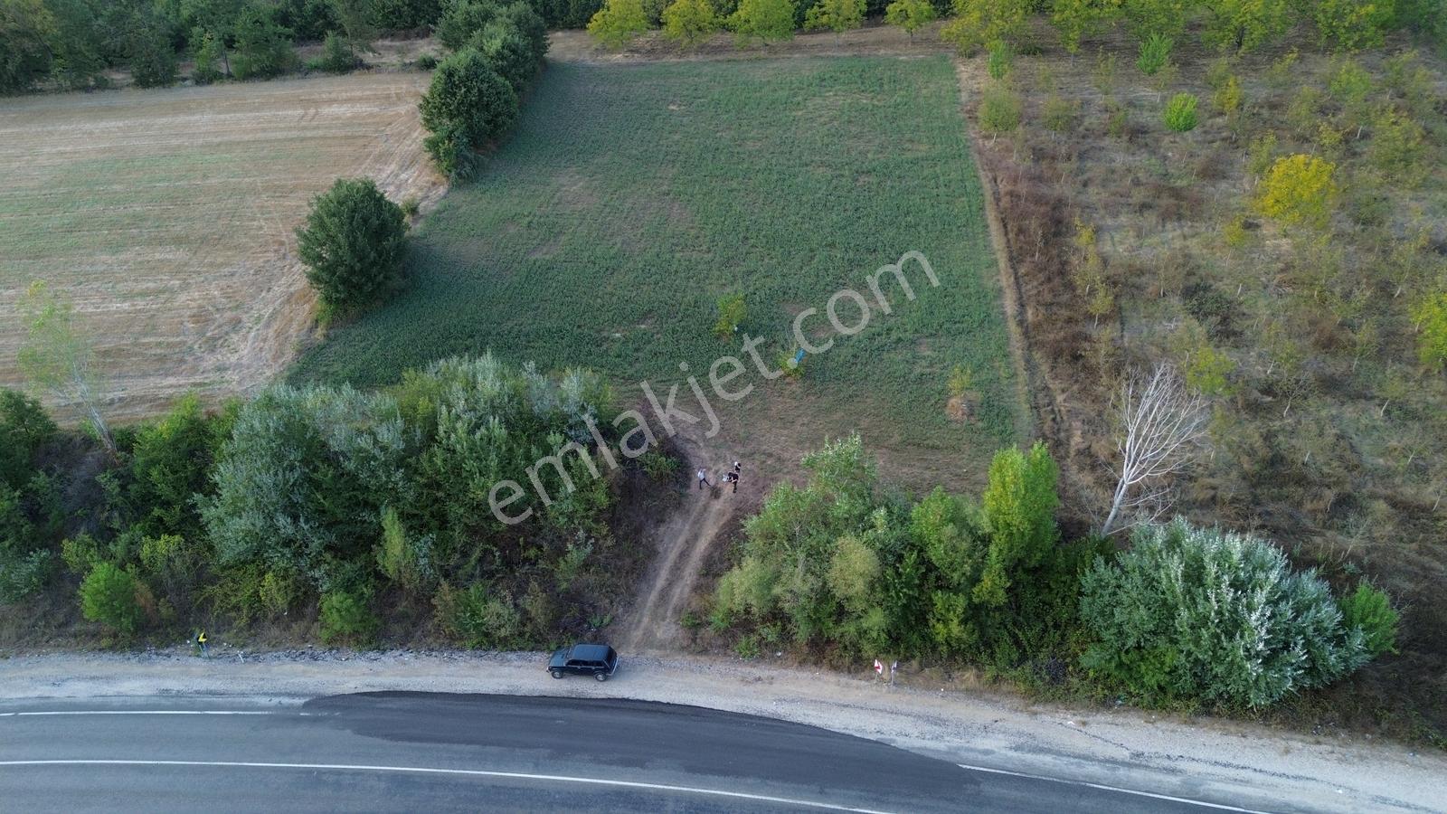 Bursa-kütahya Asfaltına Cepheli4800m2 Yatırımlık Arazi 60m Cephe — fotoğraf 14