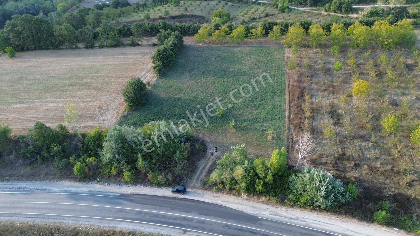 Bursa-kütahya Asfaltına Cepheli4800m2 Yatırımlık Arazi 60m Cephe — fotoğraf 15