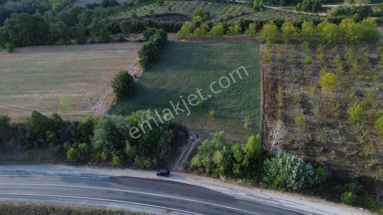 Bursa-kütahya Asfaltına Cepheli4800m2 Yatırımlık Arazi 60m Cephe — fotoğraf 16