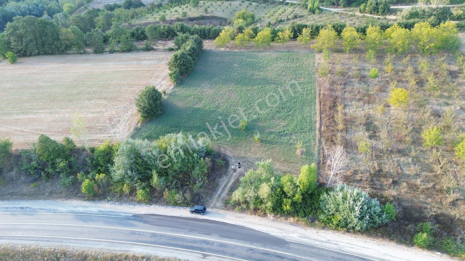 Bursa-kütahya Asfaltına Cepheli4800m2 Yatırımlık Arazi 60m Cephe — fotoğraf 17