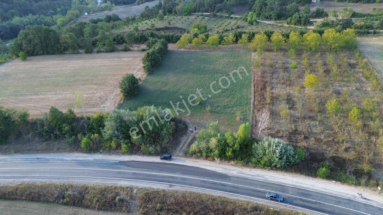 Bursa-kütahya Asfaltına Cepheli4800m2 Yatırımlık Arazi 60m Cephe — fotoğraf 18